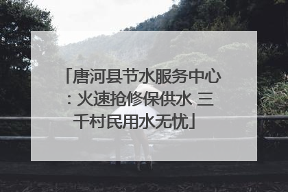 唐河县节水服务中心：火速抢修保供水 三千村民用水无忧