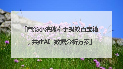 商汤小浣熊牵手蚂蚁百宝箱，共建AI+数据分析方案