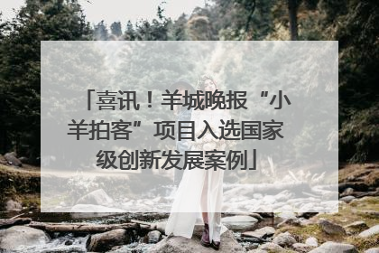 喜讯！羊城晚报“小羊拍客”项目入选国家级创新发展案例