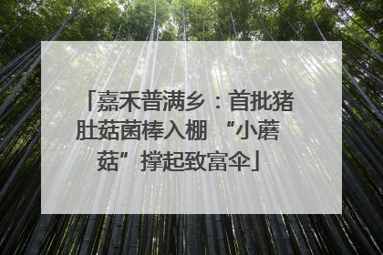 嘉禾普满乡：首批猪肚菇菌棒入棚 “小蘑菇”撑起致富伞