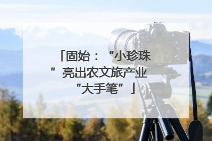 固始：“小珍珠”亮出农文旅产业“大手笔”