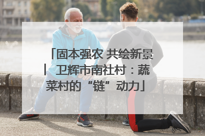 固本强农 共绘新景 ︳卫辉市南社村：蔬菜村的“链”动力