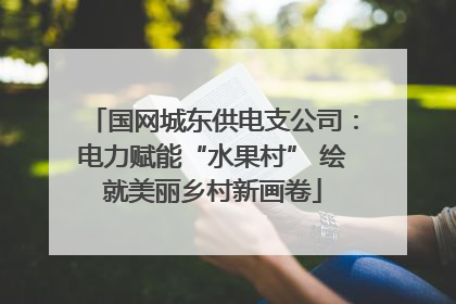 国网城东供电支公司：电力赋能“水果村” 绘就美丽乡村新画卷