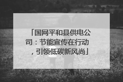 国网平和县供电公司：节能宣传在行动，引领低碳新风尚