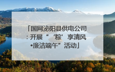 国网泌阳县供电公司：开展“‘粽’享清风 •廉洁端午”活动