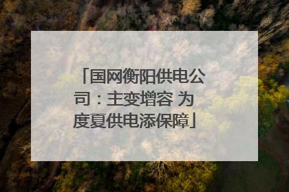 国网衡阳供电公司：主变增容 为度夏供电添保障