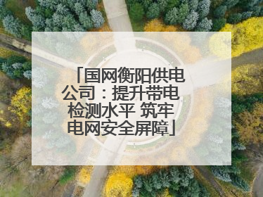 国网衡阳供电公司：提升带电检测水平 筑牢电网安全屏障