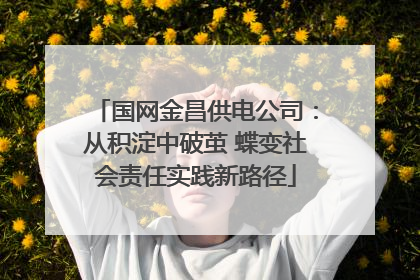 国网金昌供电公司：从积淀中破茧 蝶变社会责任实践新路径