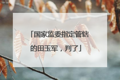 国家监委指定管辖的田玉军，判了