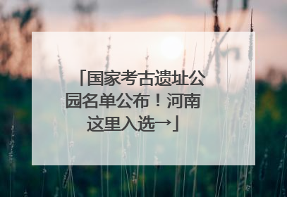 国家考古遗址公园名单公布！河南这里入选→