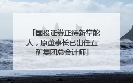 国投证券正待新掌舵人，原董事长已出任五矿集团总会计师