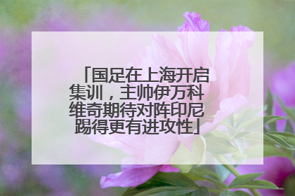 国足在上海开启集训，主帅伊万科维奇期待对阵印尼踢得更有进攻性