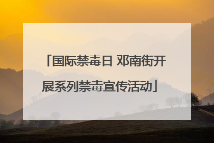 国际禁毒日 邓南街开展系列禁毒宣传活动