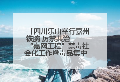 四川乐山举行嘉州铁腕 厉禁共治——“嘉网工程”禁毒社会化工作暨毒品集中销毁启动仪式