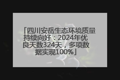 四川安岳生态环境质量持续向好：2024年优良天数324天，多项数据实现100%