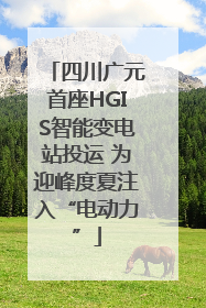 四川广元首座HGIS智能变电站投运 为迎峰度夏注入“电动力”