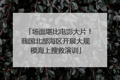 场面堪比电影大片！我国北部海区开展大规模海上搜救演训
