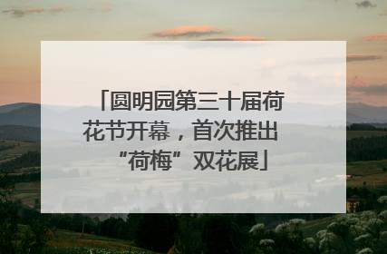 圆明园第三十届荷花节开幕，首次推出“荷梅”双花展