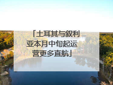 土耳其与叙利亚本月中旬起运营更多直航