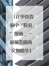 在甲骨青铜中“看见”殷商，一展纵览殷商文物精华