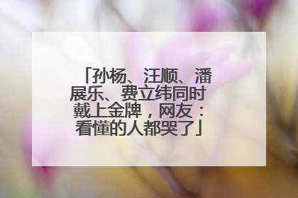 孙杨、汪顺、潘展乐、费立纬同时戴上金牌，网友：看懂的人都哭了