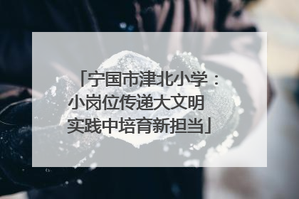 宁国市津北小学：小岗位传递大文明 实践中培育新担当