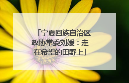 宁夏回族自治区政协常委刘媛：走在希望的田野上