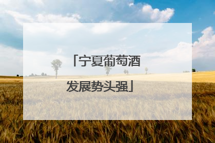 宁夏葡萄酒发展势头强