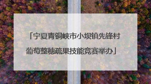 宁夏青铜峡市小坝镇先锋村葡萄整穗疏果技能竞赛举办