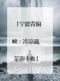 宁夏青铜峡：冷凉蔬菜迎丰收