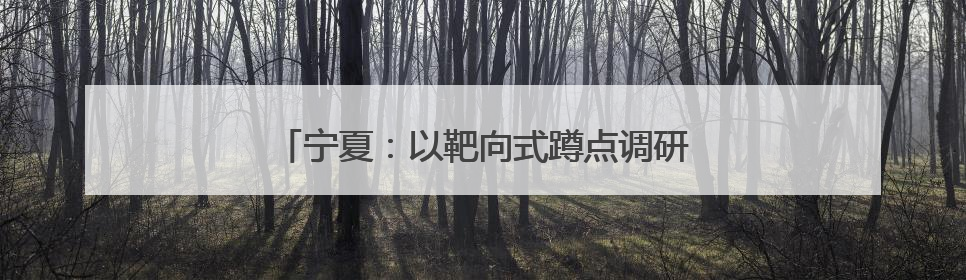 宁夏：以靶向式蹲点调研和登门督导破解顽瘴痼疾