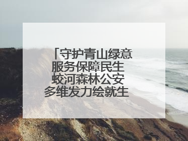 守护青山绿意 服务保障民生 蛟河森林公安多维发力绘就生态惠民新画卷