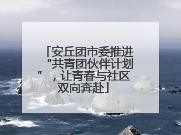 安丘团市委推进“共青团伙伴计划”，让青春与社区双向奔赴