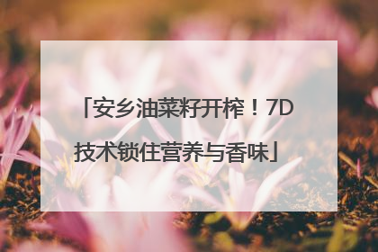 安乡油菜籽开榨！7D技术锁住营养与香味