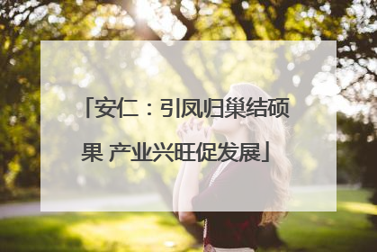 安仁：引凤归巢结硕果 产业兴旺促发展