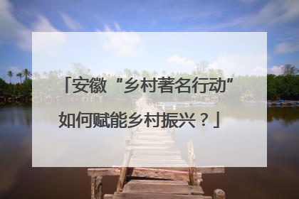 安徽“乡村著名行动”如何赋能乡村振兴？