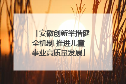 安徽创新举措健全机制 推进儿童事业高质量发展