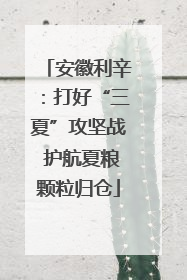 安徽利辛：打好“三夏”攻坚战 护航夏粮颗粒归仓