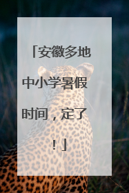 安徽多地中小学暑假时间，定了！