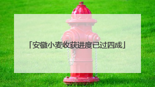 安徽小麦收获进度已过四成