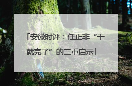 安徽时评：任正非“干就完了”的三重启示