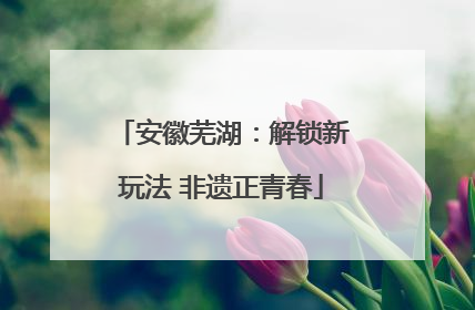 安徽芜湖：解锁新玩法 非遗正青春