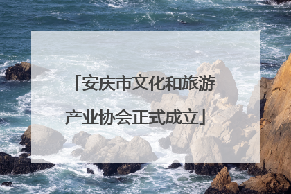 安庆市文化和旅游产业协会正式成立
