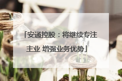 安通控股：将继续专注主业 增强业务优势