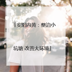 安阳内黄：整治小坑塘 改善大环境