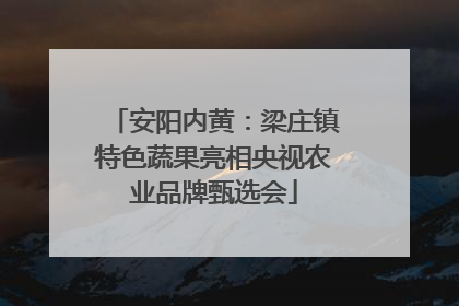 安阳内黄：梁庄镇特色蔬果亮相央视农业品牌甄选会