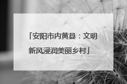 安阳市内黄县：文明新风浸润美丽乡村