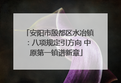 安阳市殷都区水冶镇：八项规定引方向 中原第一镇谱新章
