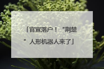 官宣落户！“荆楚”人形机器人来了