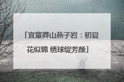 宜章莽山燕子岩：初夏花似锦 绣球绽芳颜